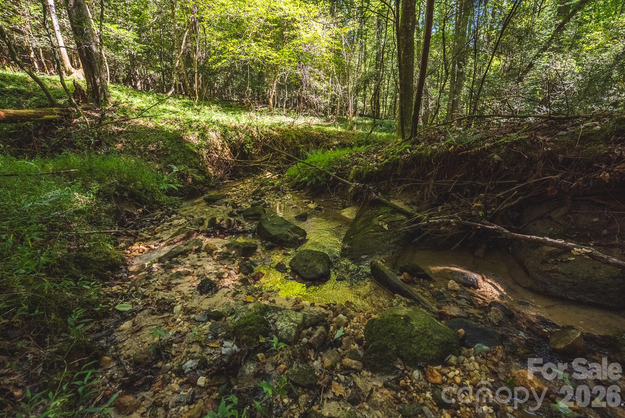 394 Rainbow Trout Drive Property Photo 15