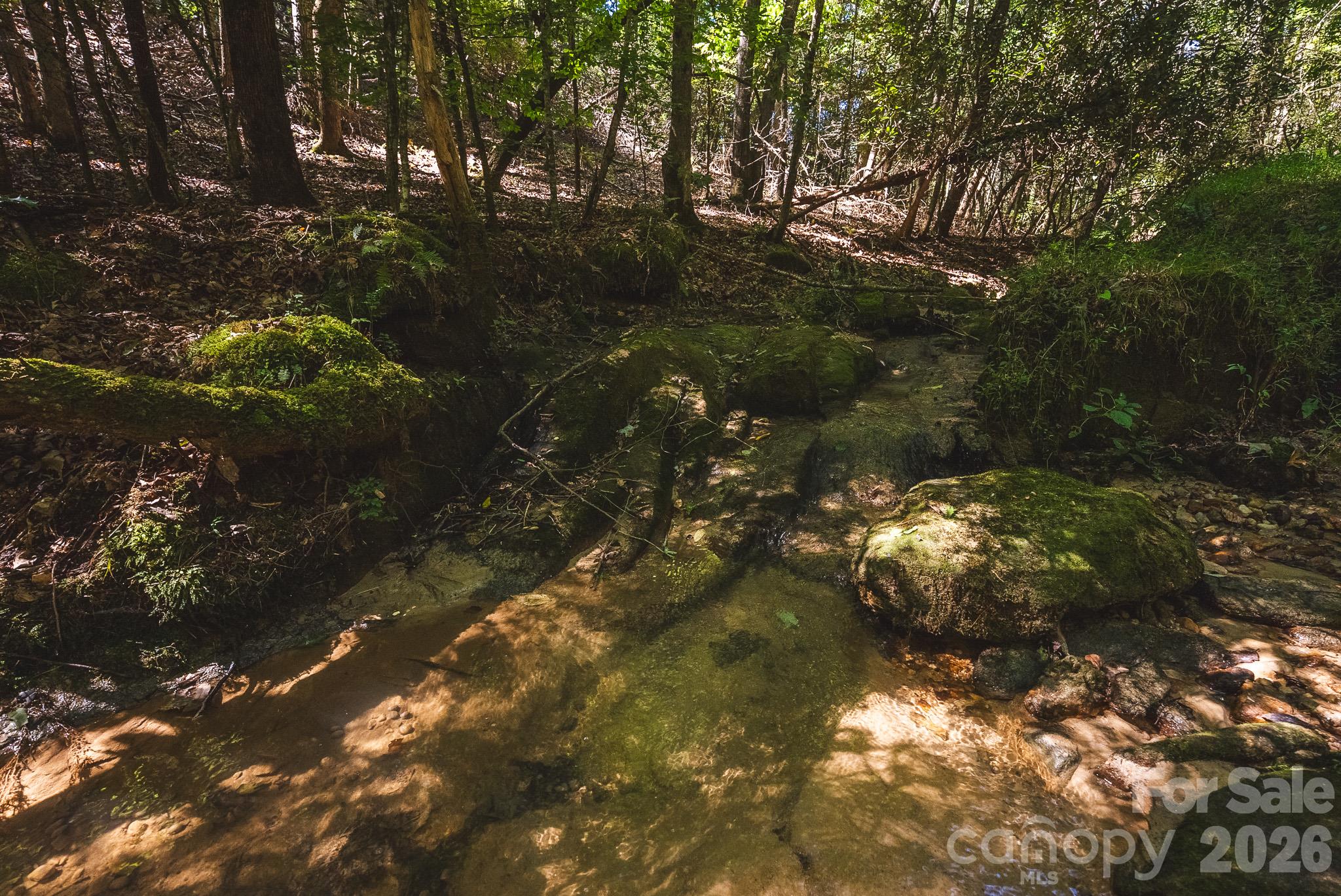394 Rainbow Trout Drive Property Photo 16