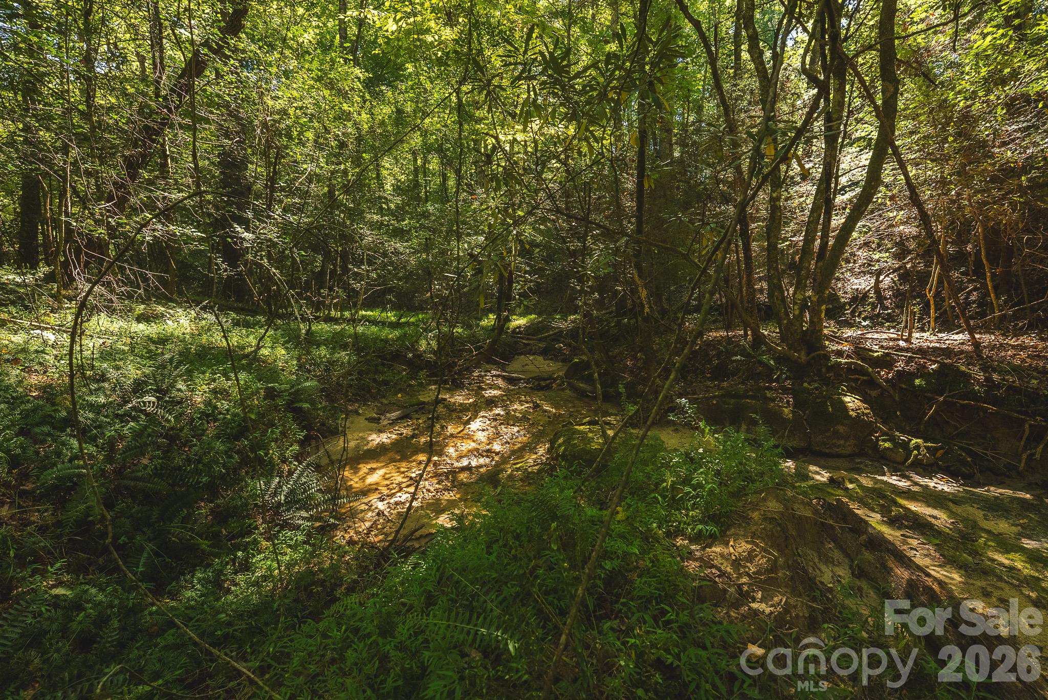 394 Rainbow Trout Drive Property Photo 17