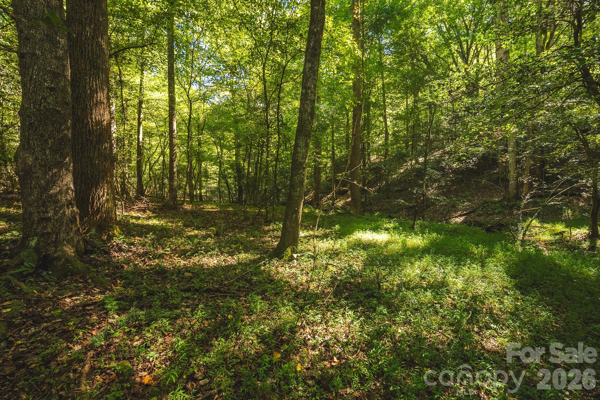394 Rainbow Trout Drive Property Photo 18