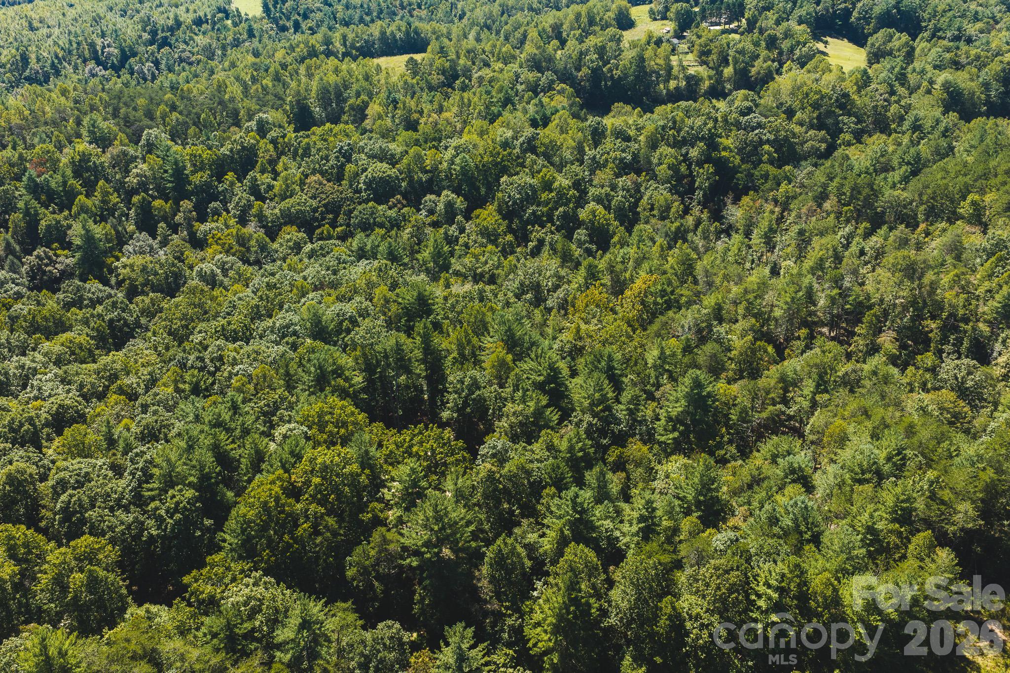 394 Rainbow Trout Drive Property Photo 28