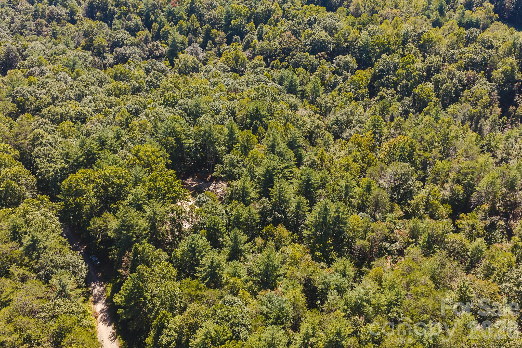 394 Rainbow Trout Drive Property Photo 29