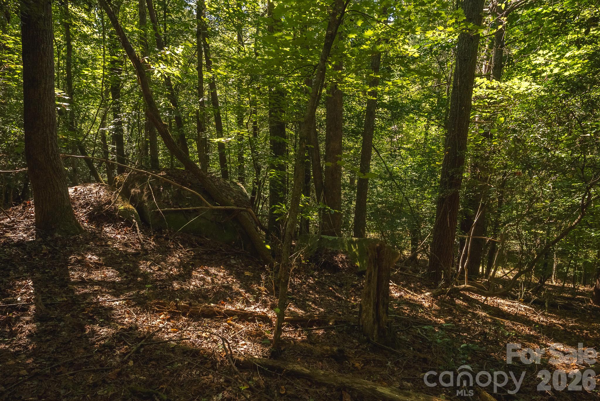 394 Rainbow Trout Drive Property Photo 31