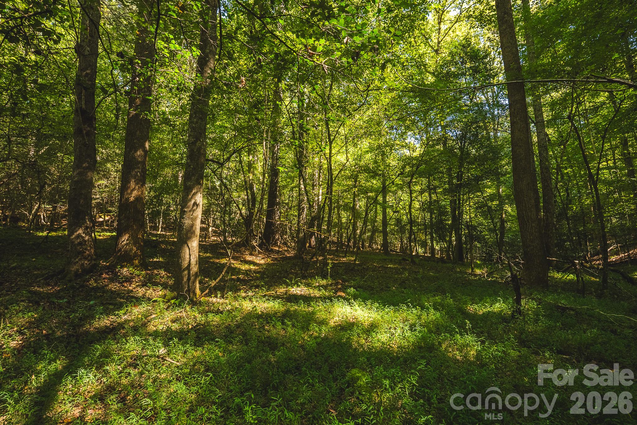 394 Rainbow Trout Drive Property Photo 38