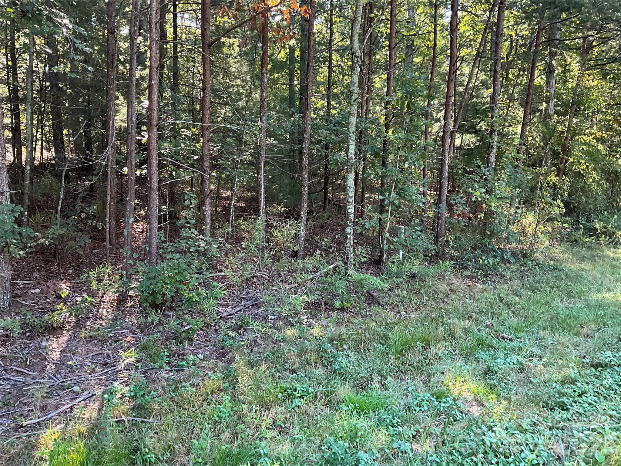 4.63 Acres Jessie Mays Lane Property Photo 7
