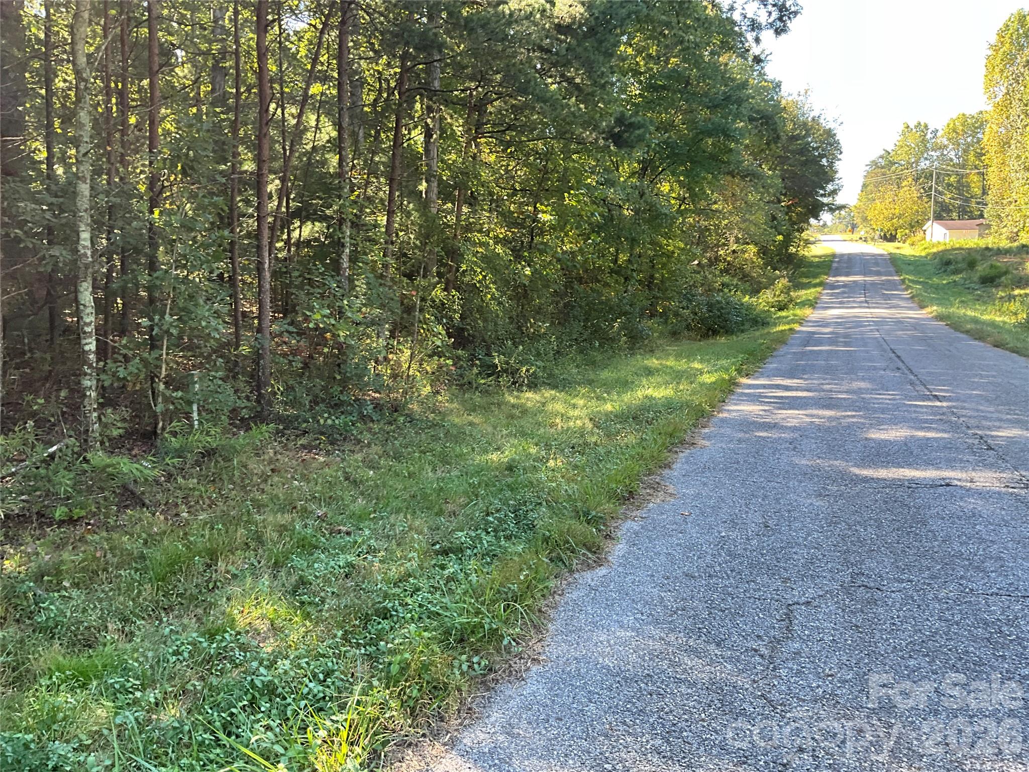 4.63 Acres Jessie Mays Lane Property Photo 9