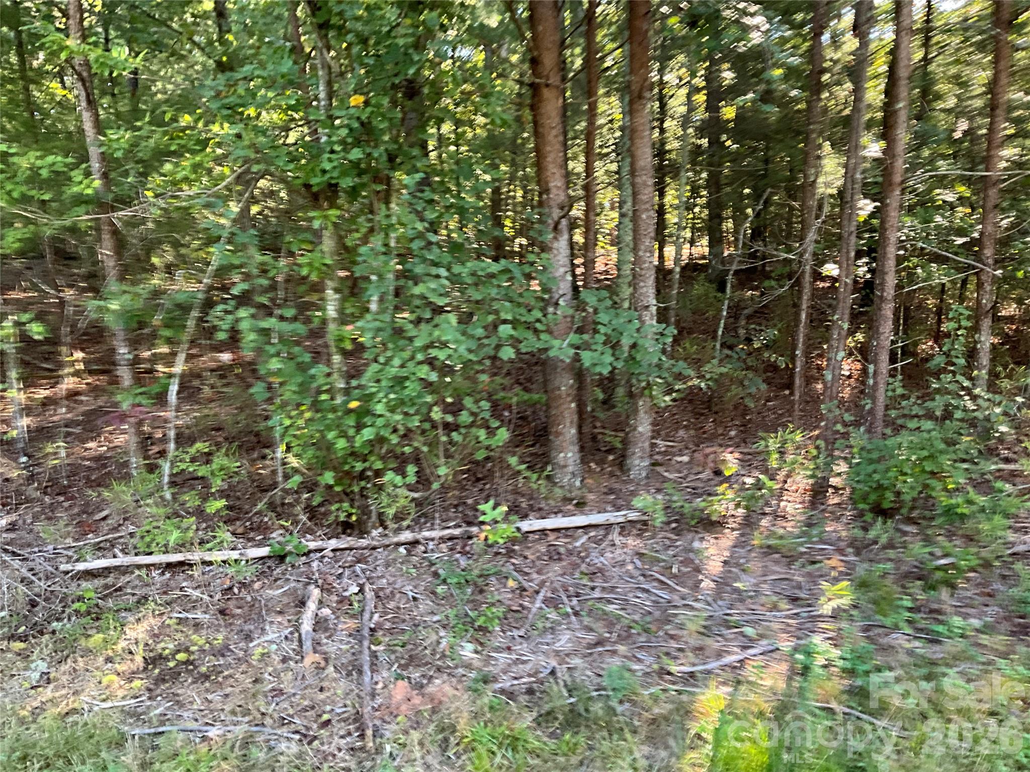 4.63 Acres Jessie Mays Lane Property Photo 10