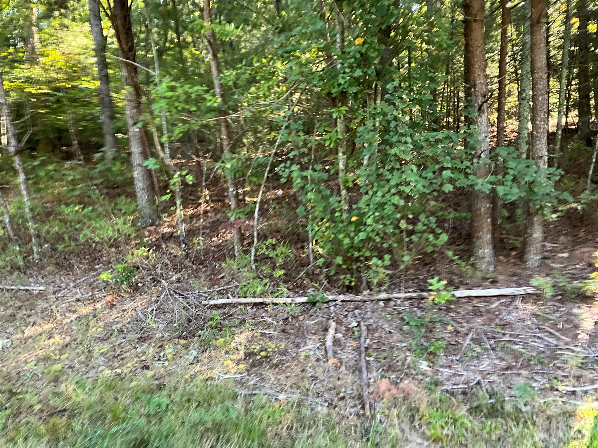 4.63 Acres Jessie Mays Lane Property Photo 11