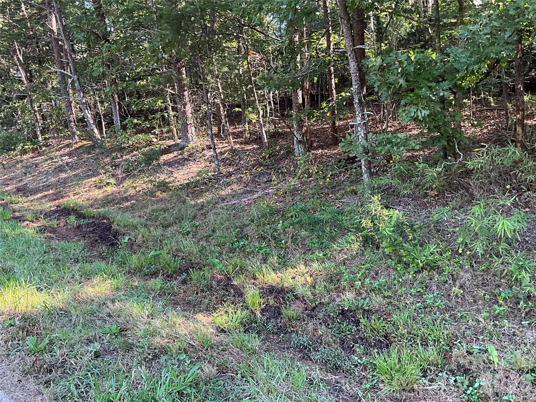 4.63 Acres Jessie Mays Lane Property Photo 12