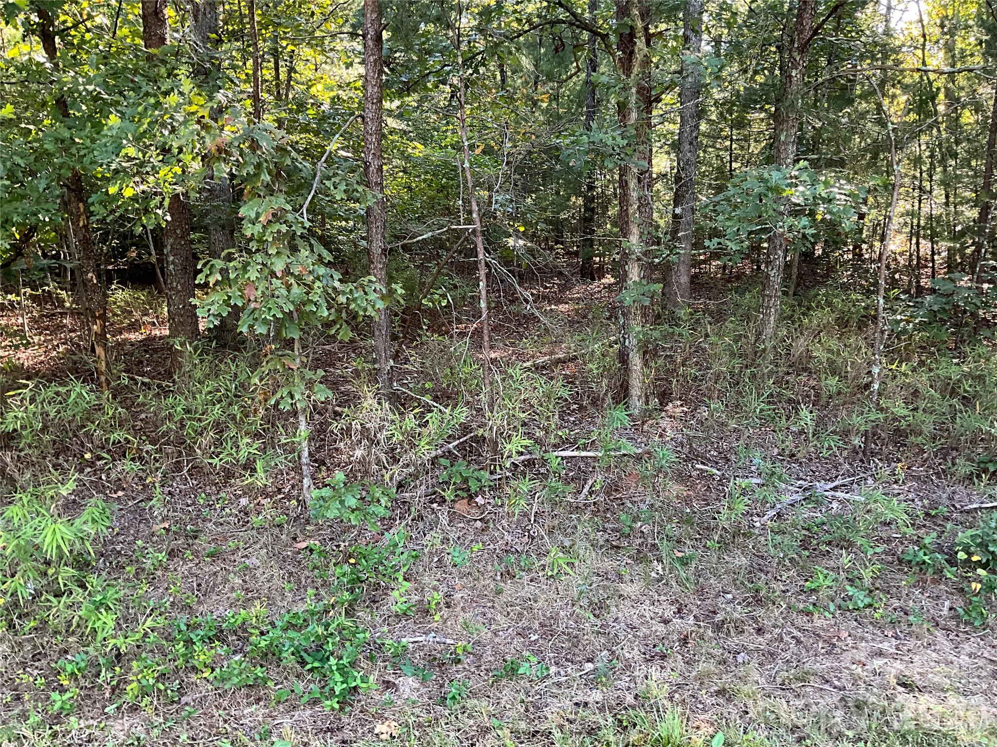 4.63 Acres Jessie Mays Lane Property Photo 13
