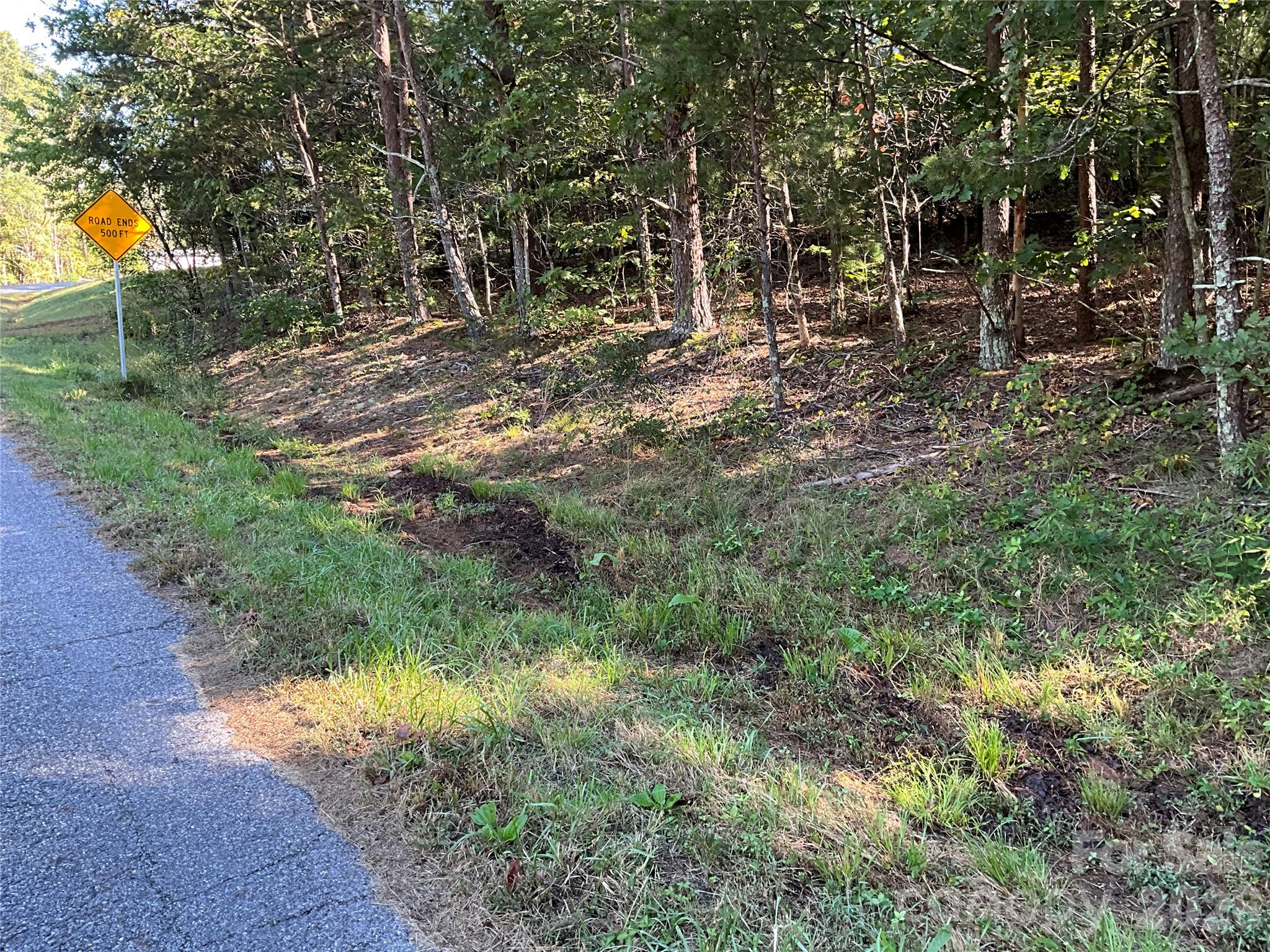 4.63 Acres Jessie Mays Lane Property Photo 14