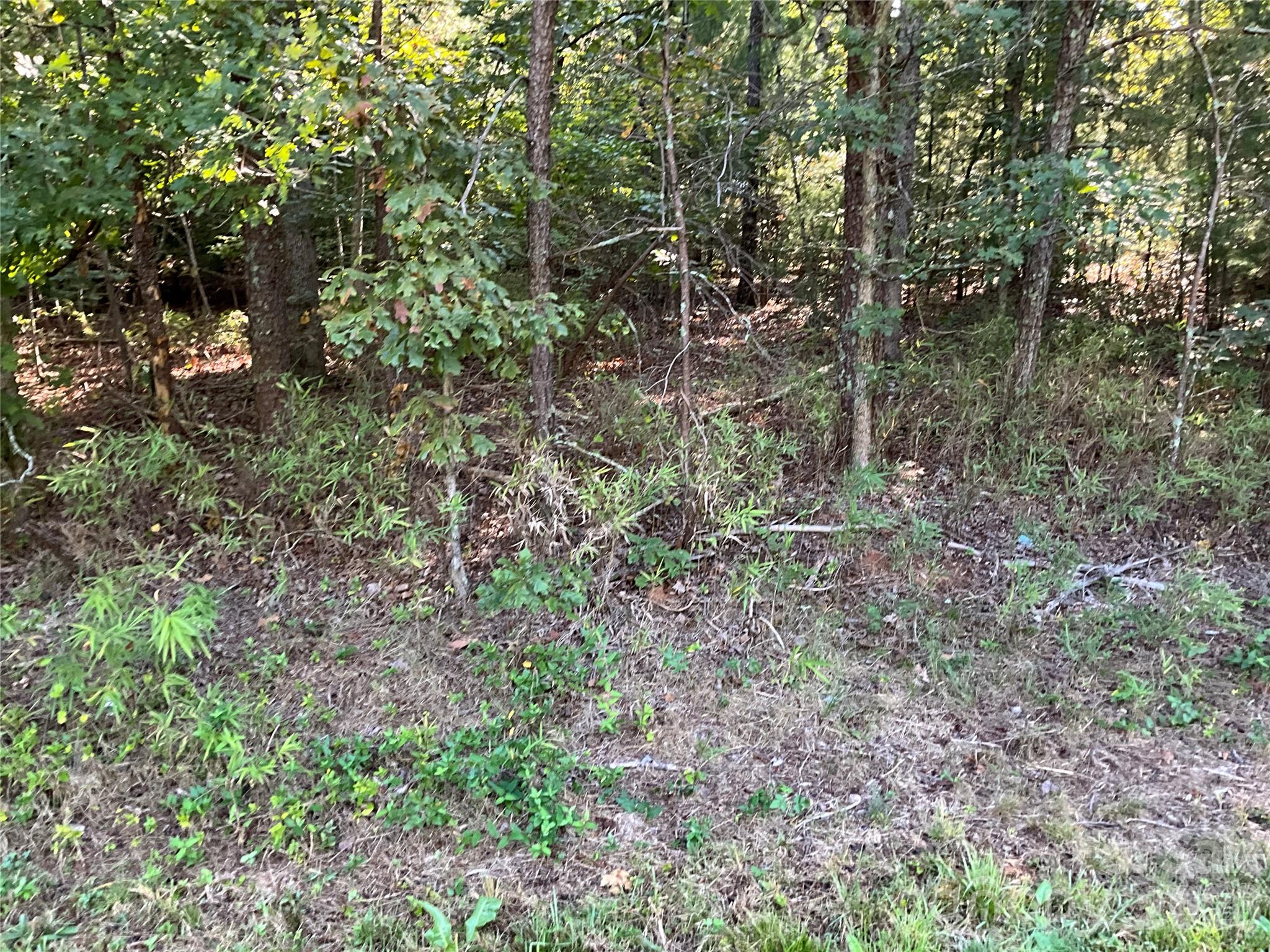 4.63 Acres Jessie Mays Lane Property Photo 15