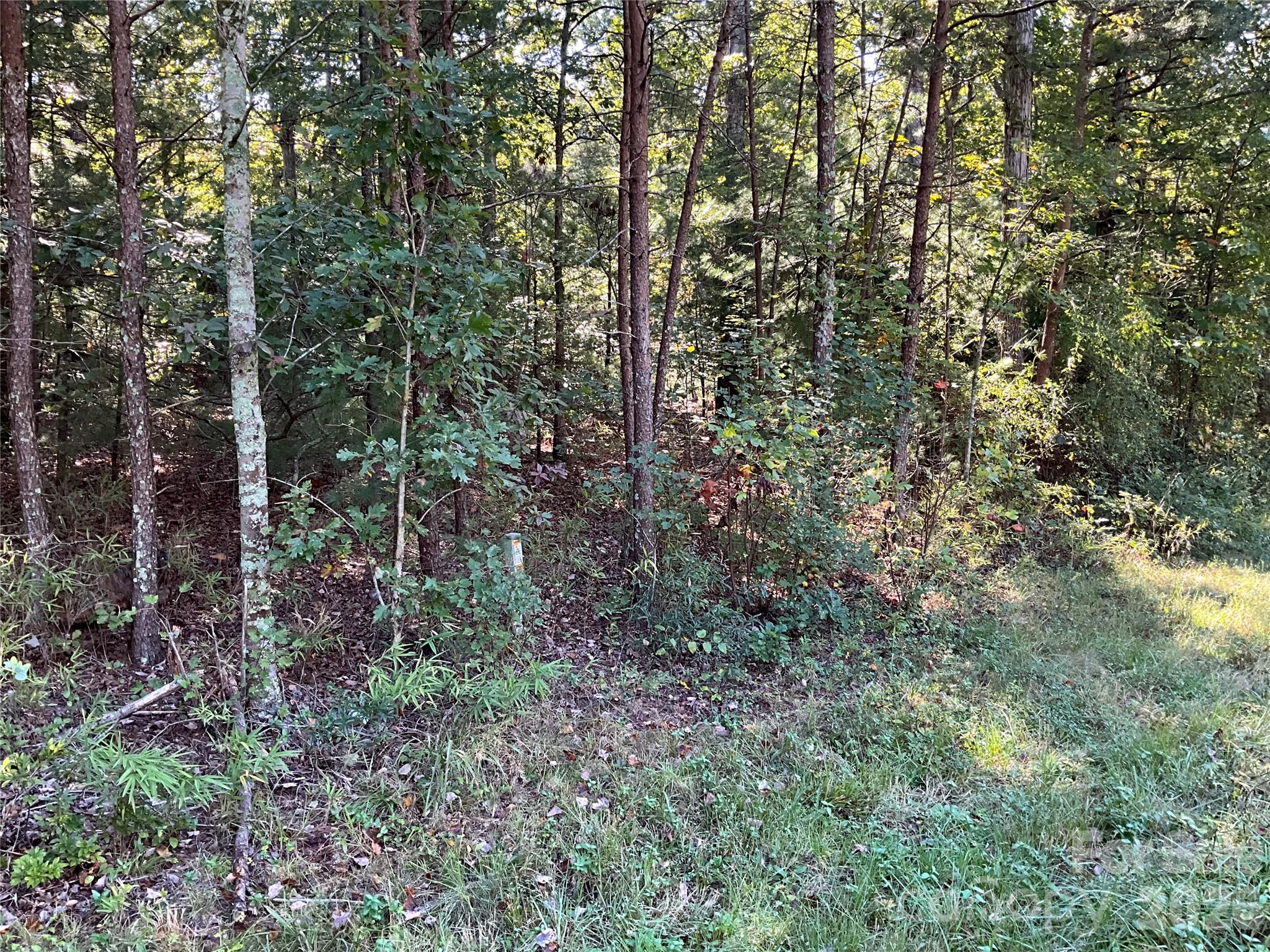 4.63 Acres Jessie Mays Lane Property Photo 17