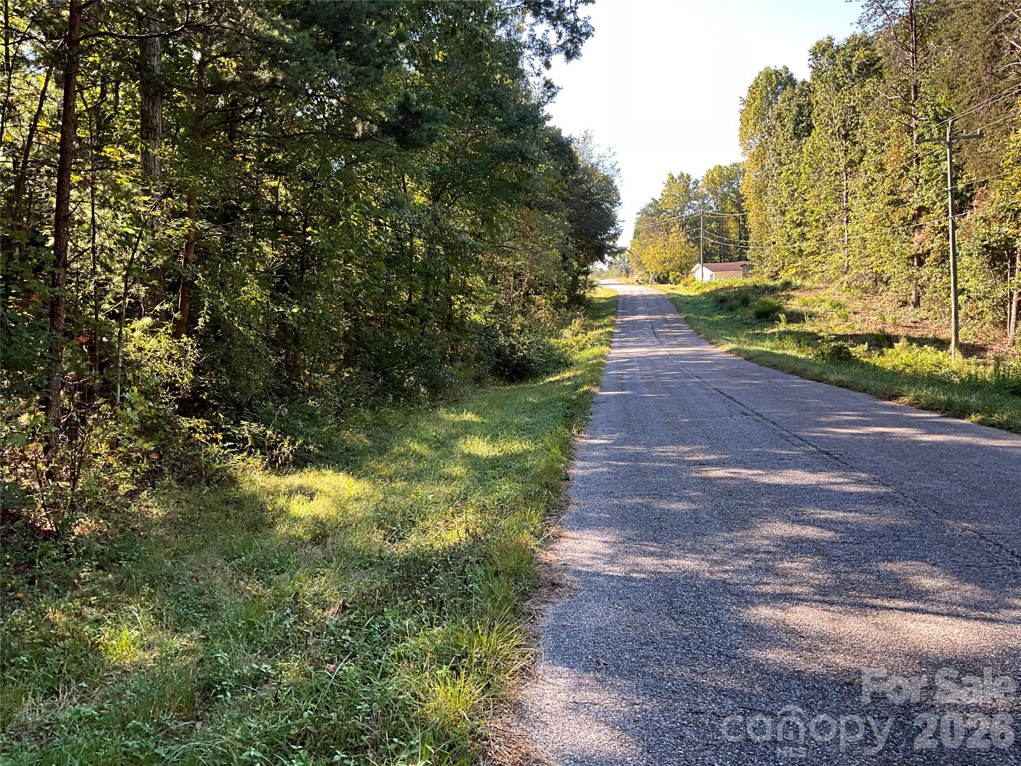 4.63 Acres Jessie Mays Lane Property Photo 18