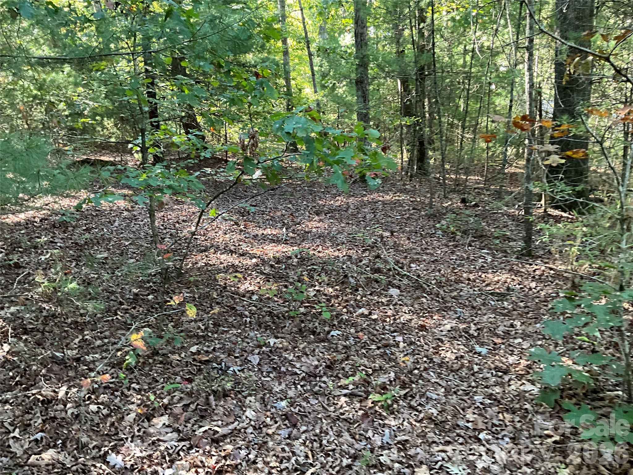 4.63 Acres Jessie Mays Lane Property Photo 19