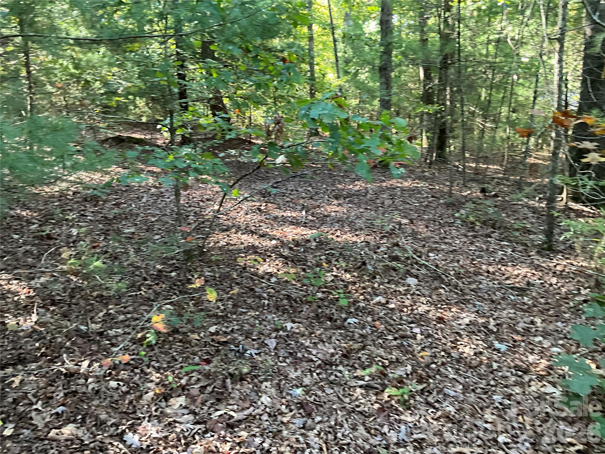 4.63 Acres Jessie Mays Lane Property Photo 20