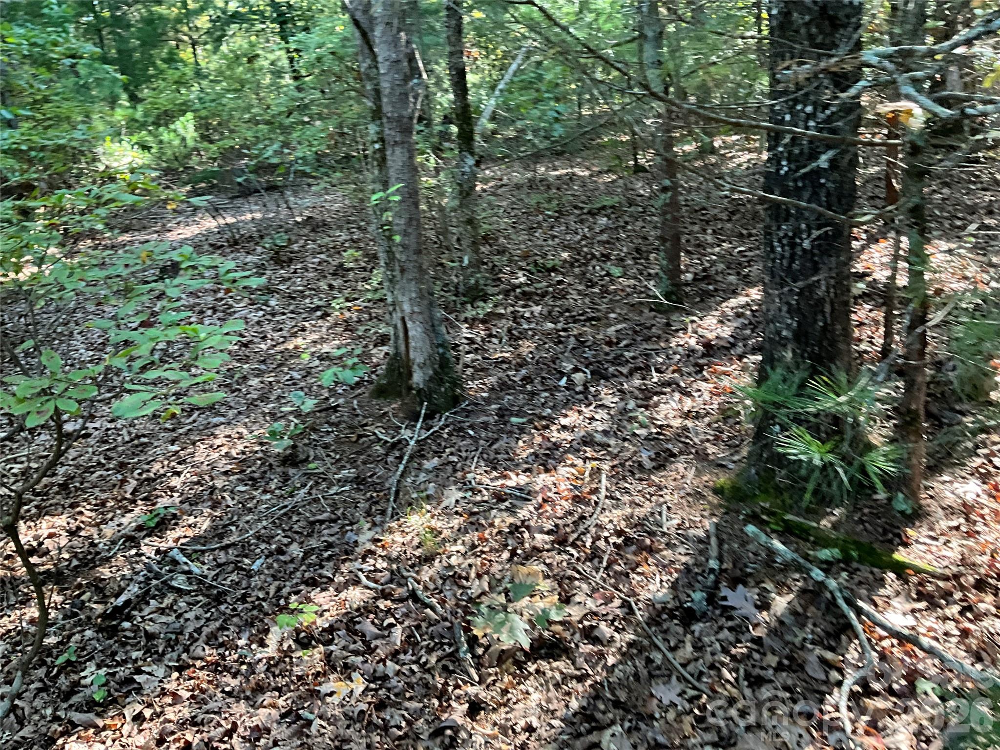 4.63 Acres Jessie Mays Lane Property Photo 21