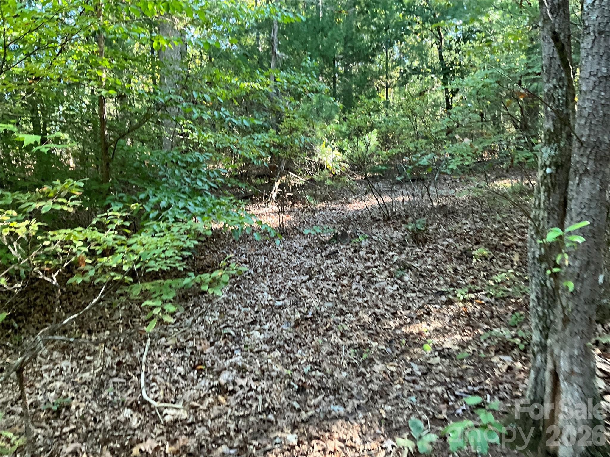 4.63 Acres Jessie Mays Lane Property Photo 22