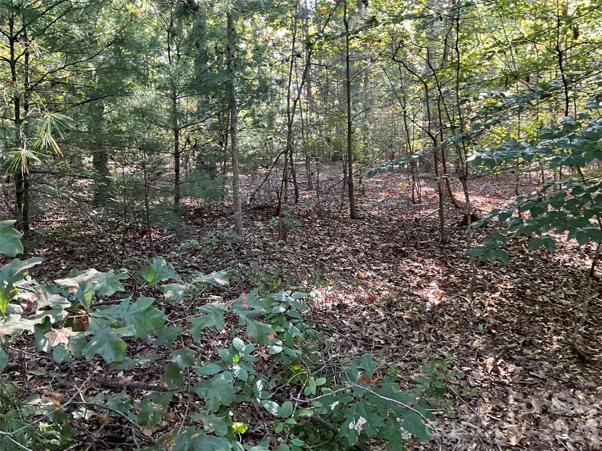 4.63 Acres Jessie Mays Lane Property Photo 23