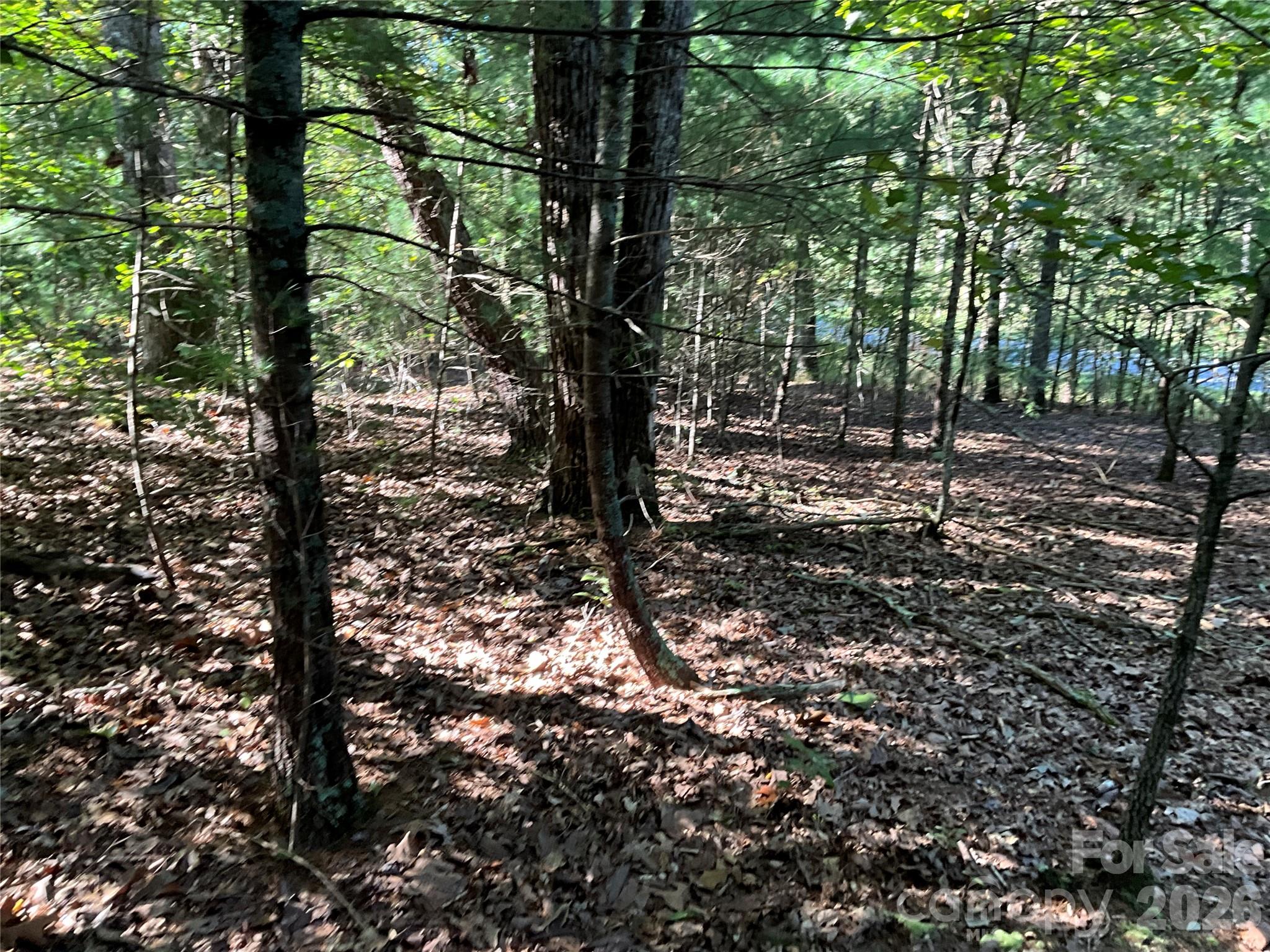 4.63 Acres Jessie Mays Lane Property Photo 24