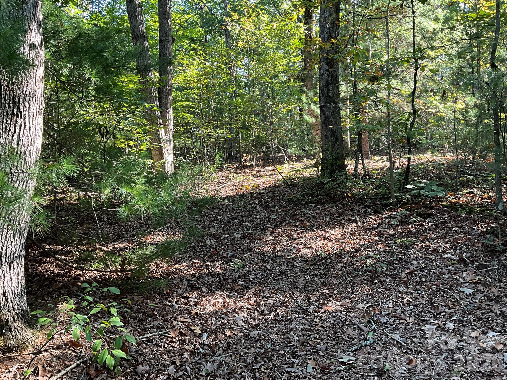 4.63 Acres Jessie Mays Lane Property Photo 25
