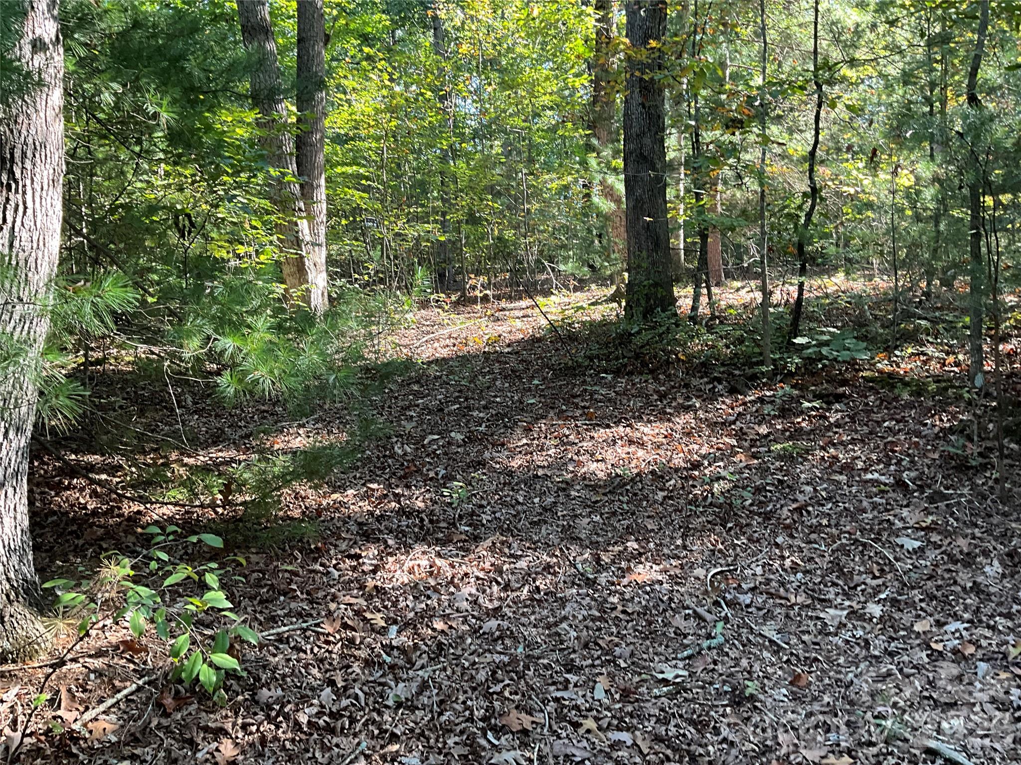 4.63 Acres Jessie Mays Lane Property Photo 26