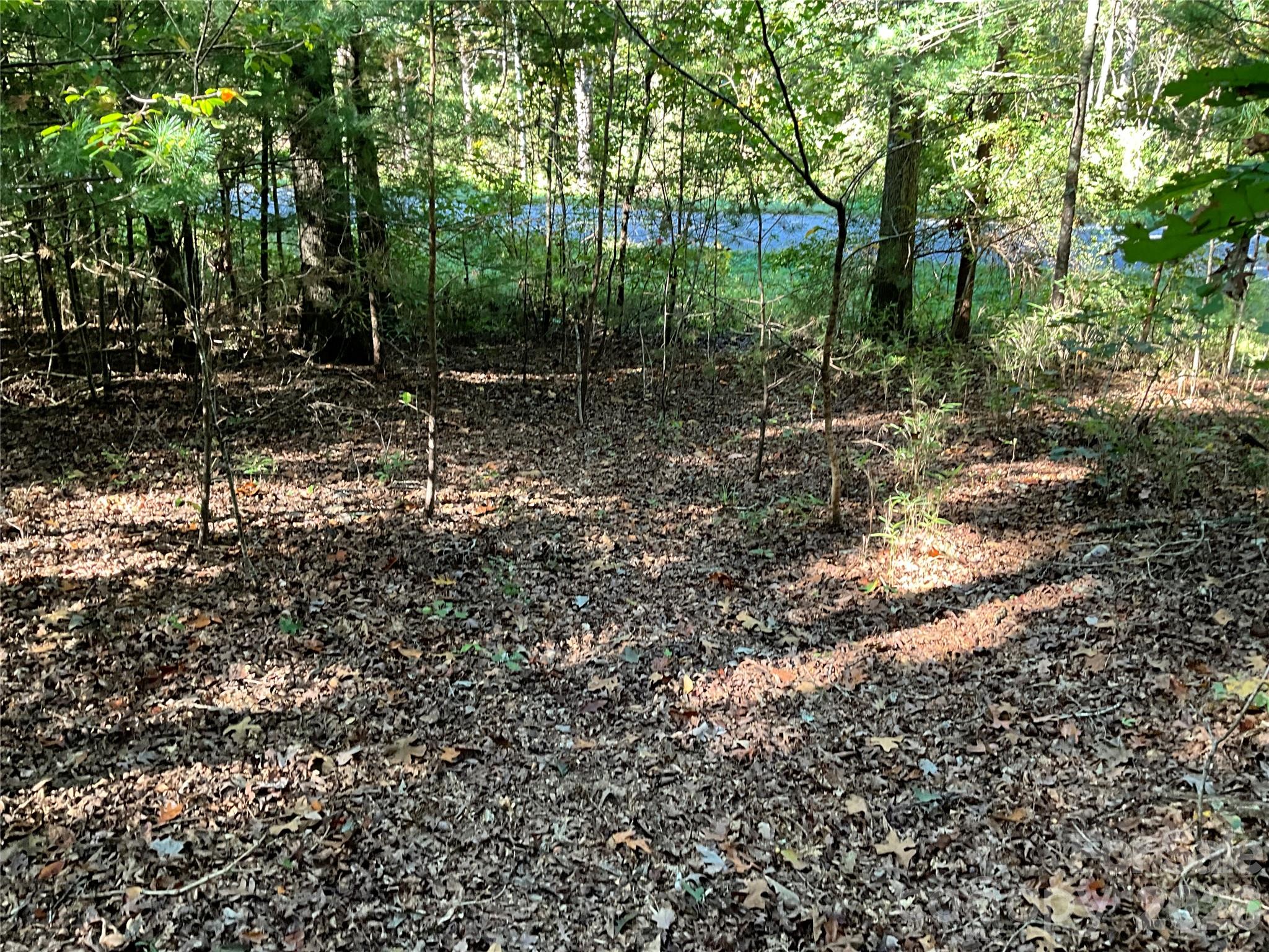 4.63 Acres Jessie Mays Lane Property Photo 27