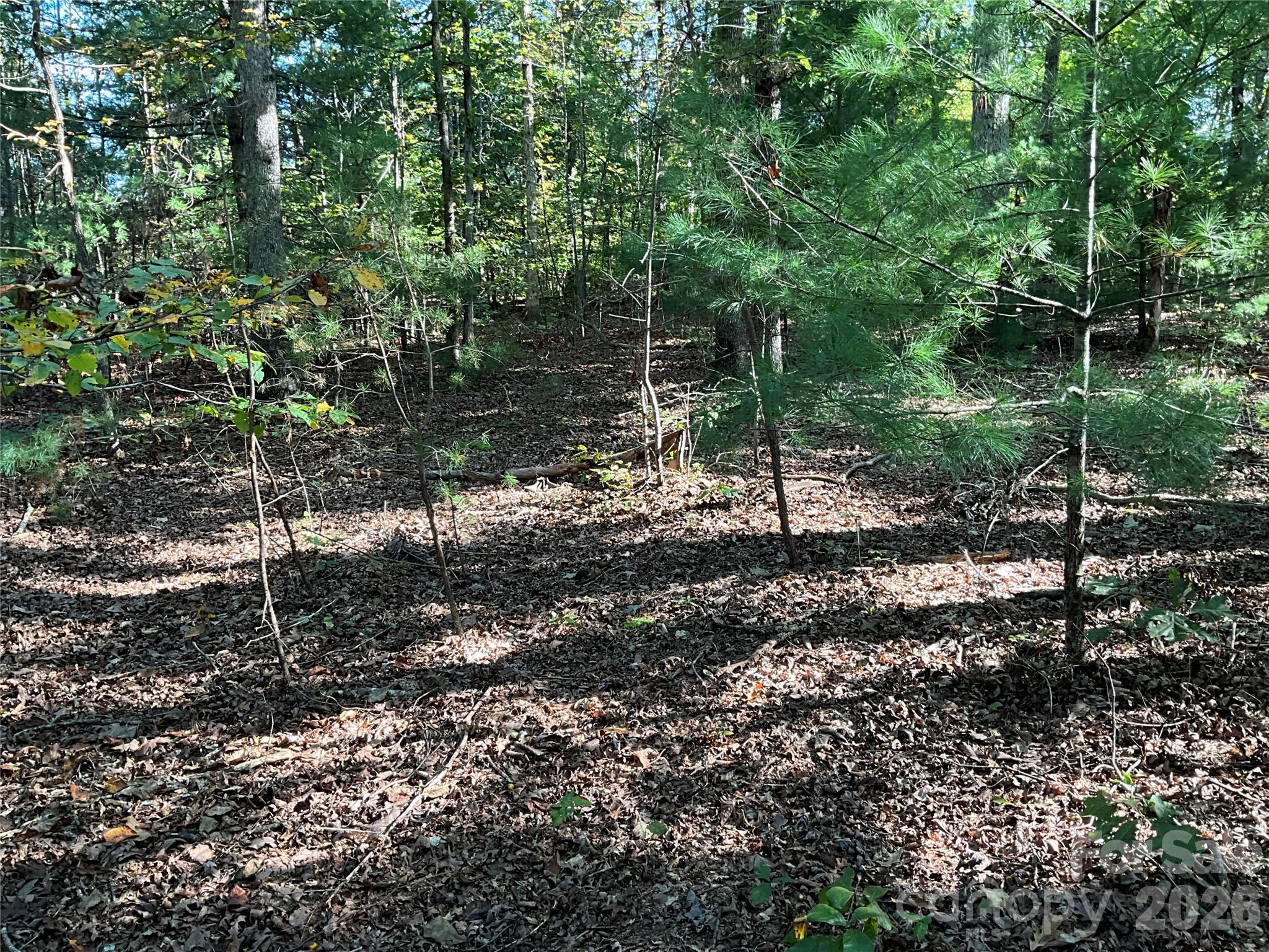 4.63 Acres Jessie Mays Lane Property Photo 28
