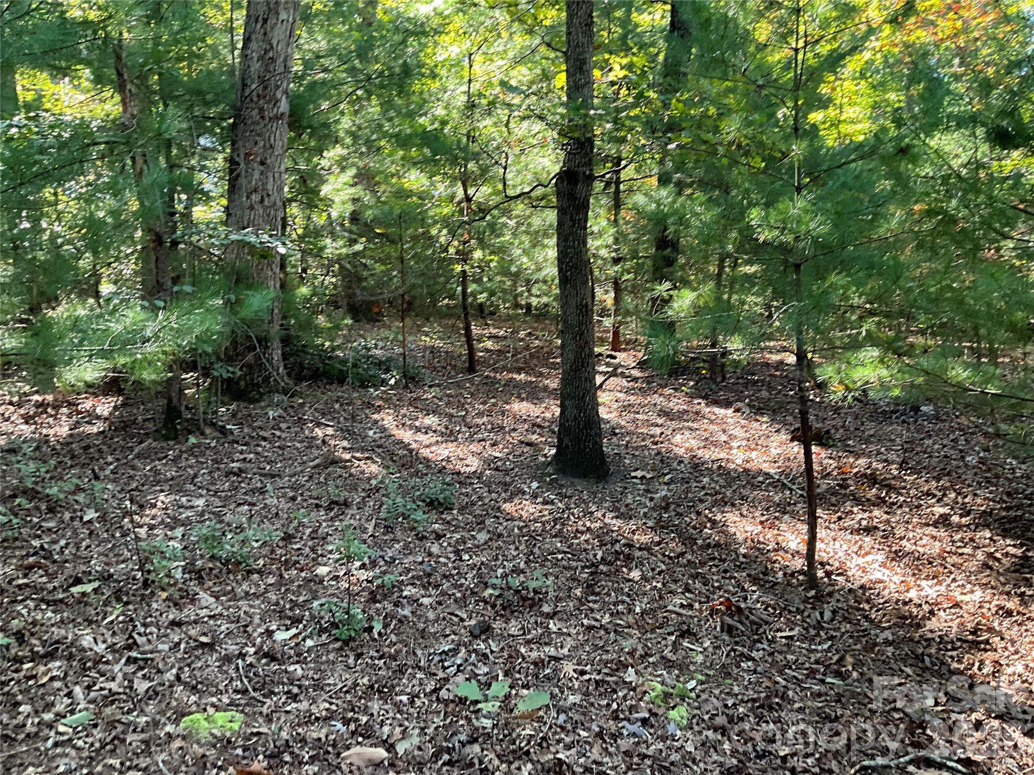 4.63 Acres Jessie Mays Lane Property Photo 29
