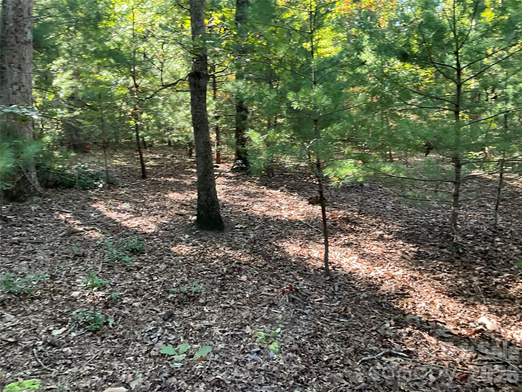 4.63 Acres Jessie Mays Lane Property Photo 30