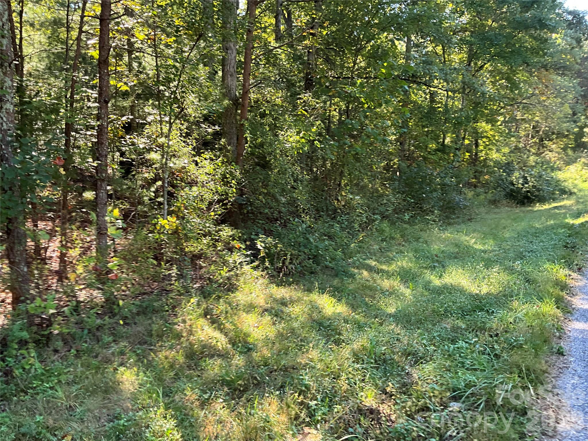 4.63 Acres Jessie Mays Lane Property Photo 32