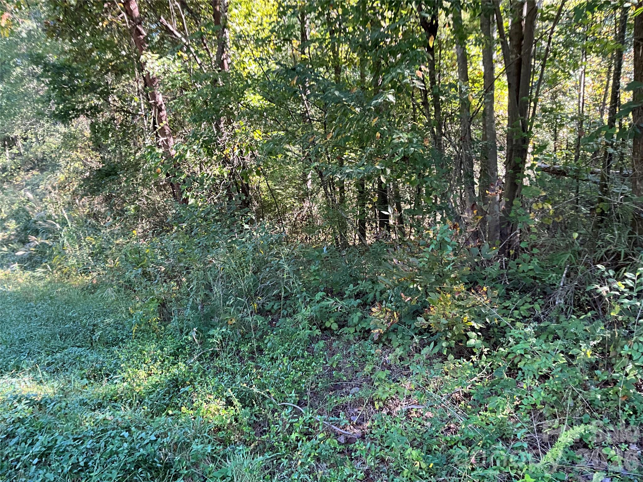 4.63 Acres Jessie Mays Lane Property Photo 33