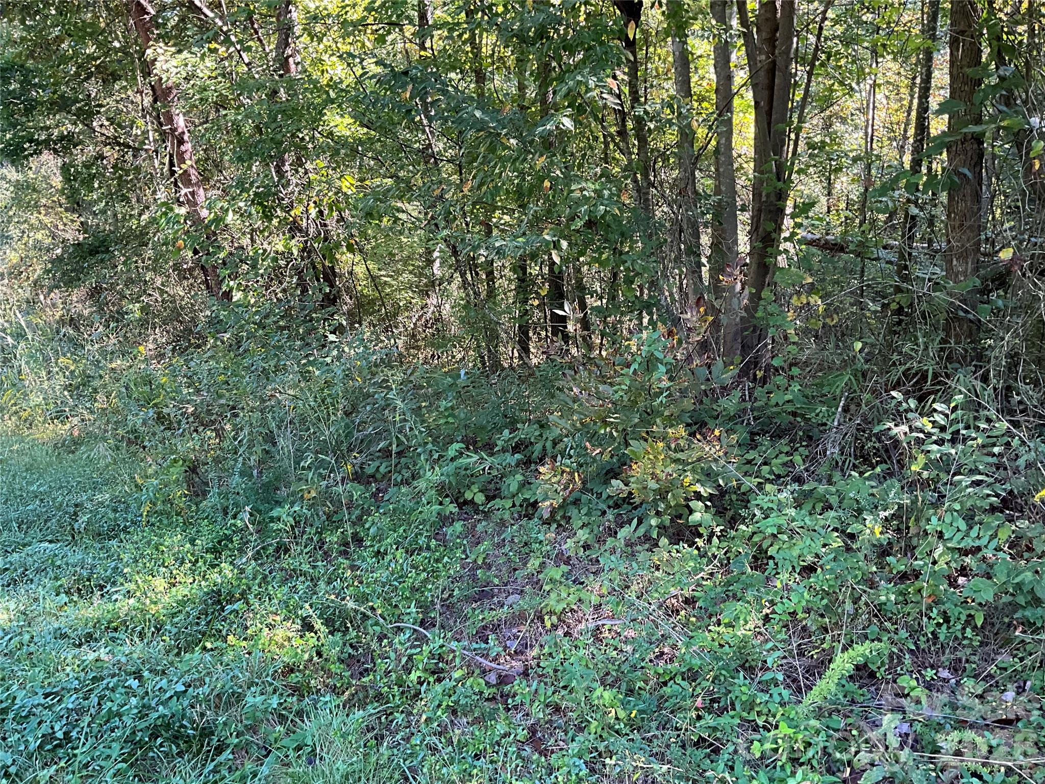 4.63 Acres Jessie Mays Lane Property Photo 34