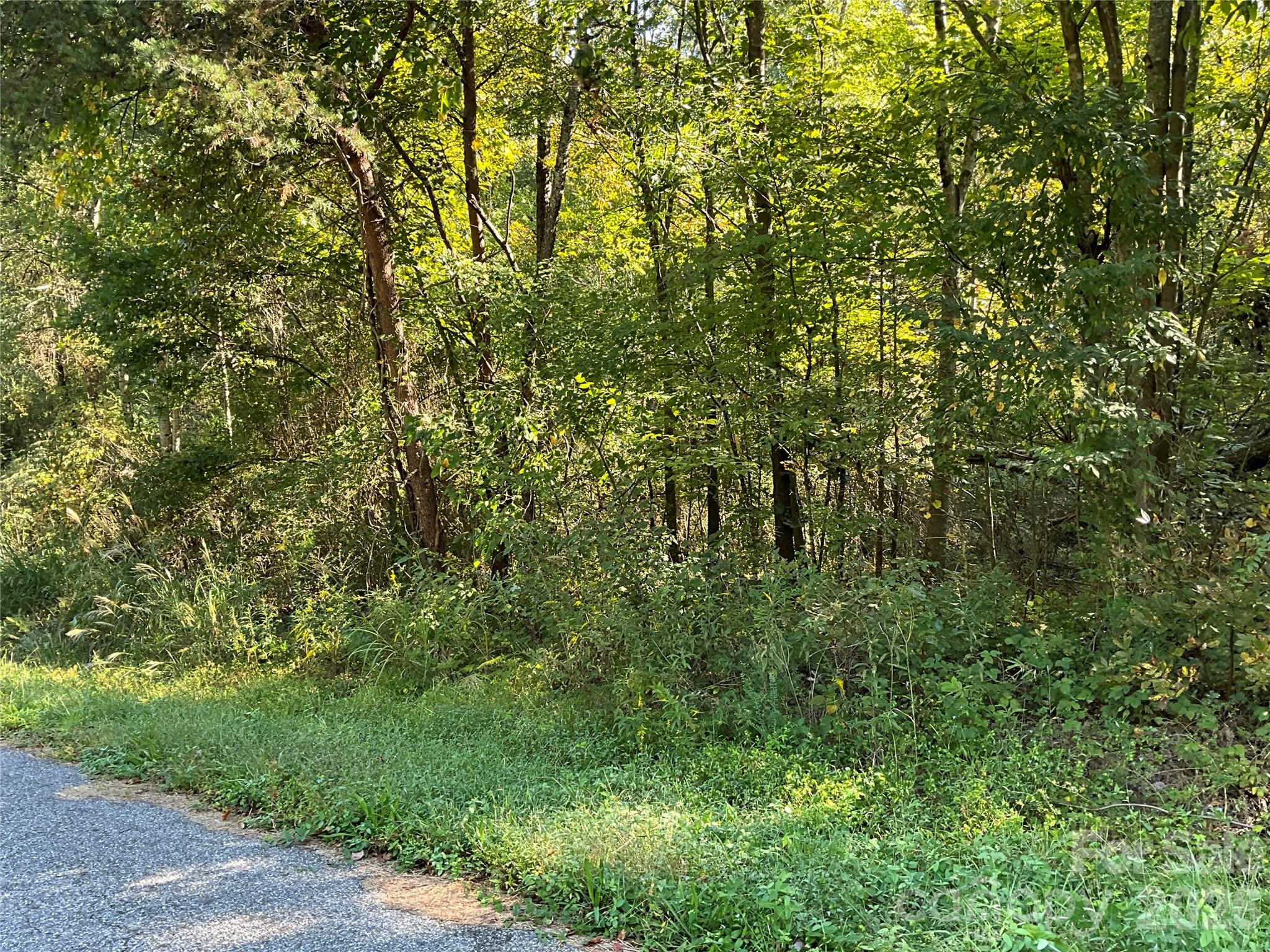 4.63 Acres Jessie Mays Lane Property Photo 36