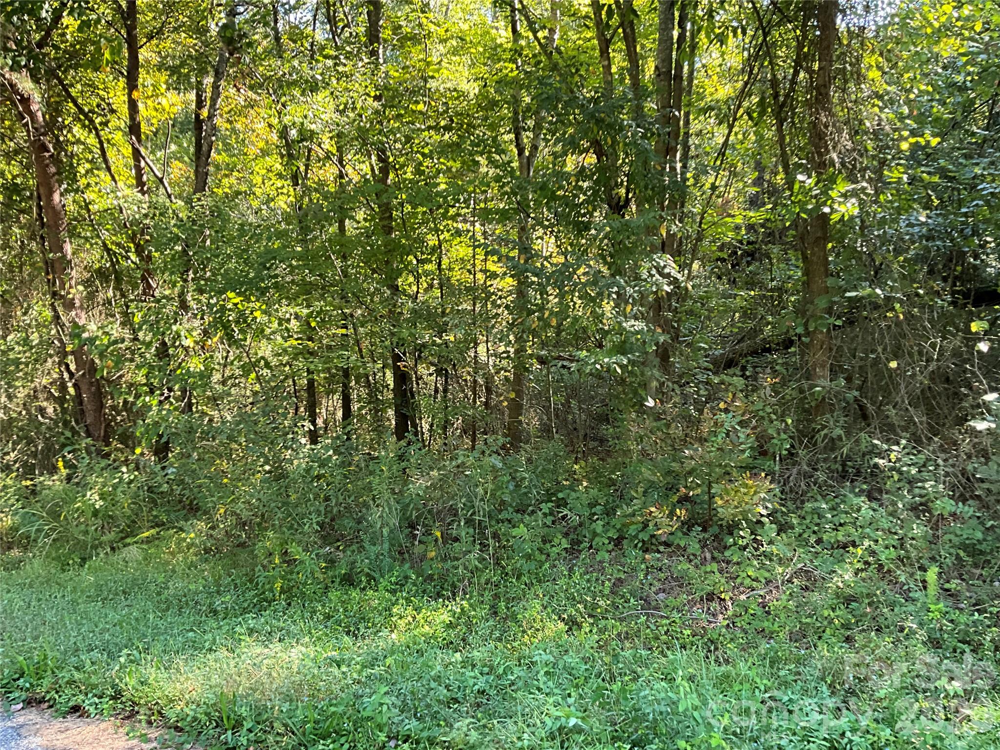 4.63 Acres Jessie Mays Lane Property Photo 37