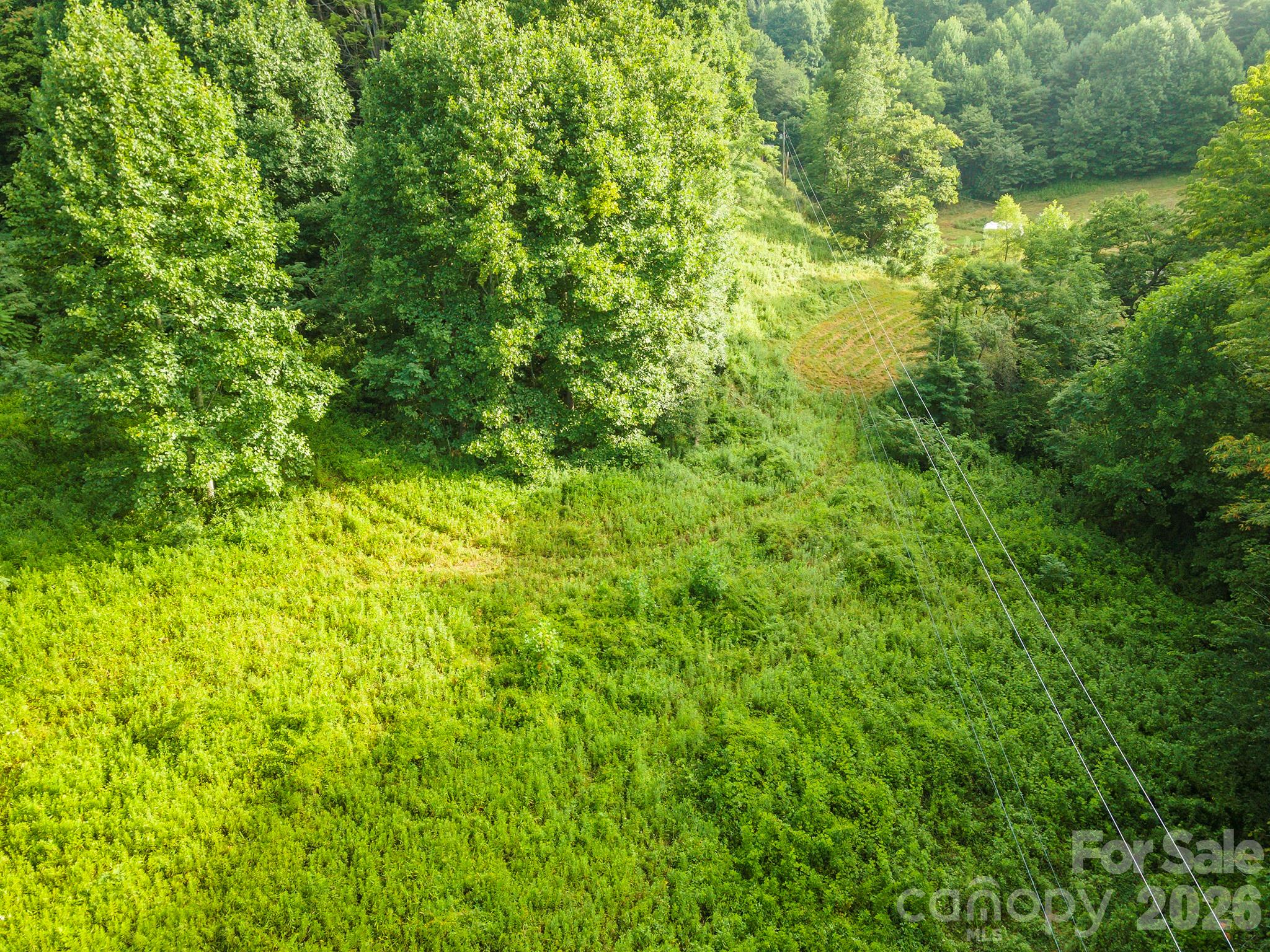 99999 Renfro Road Property Photo 3