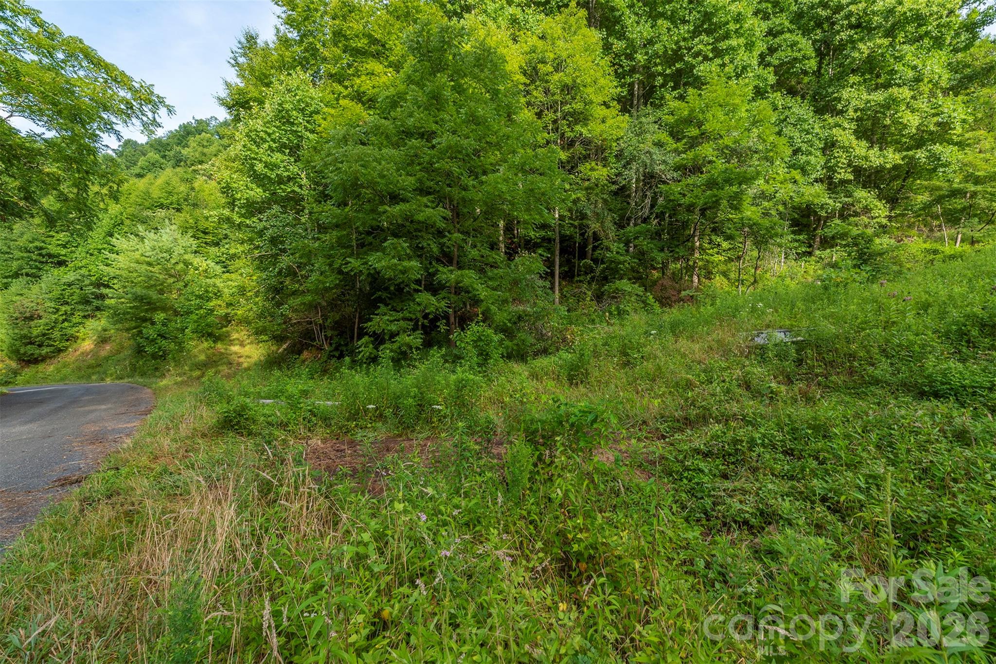 99999 Renfro Road Property Photo 6