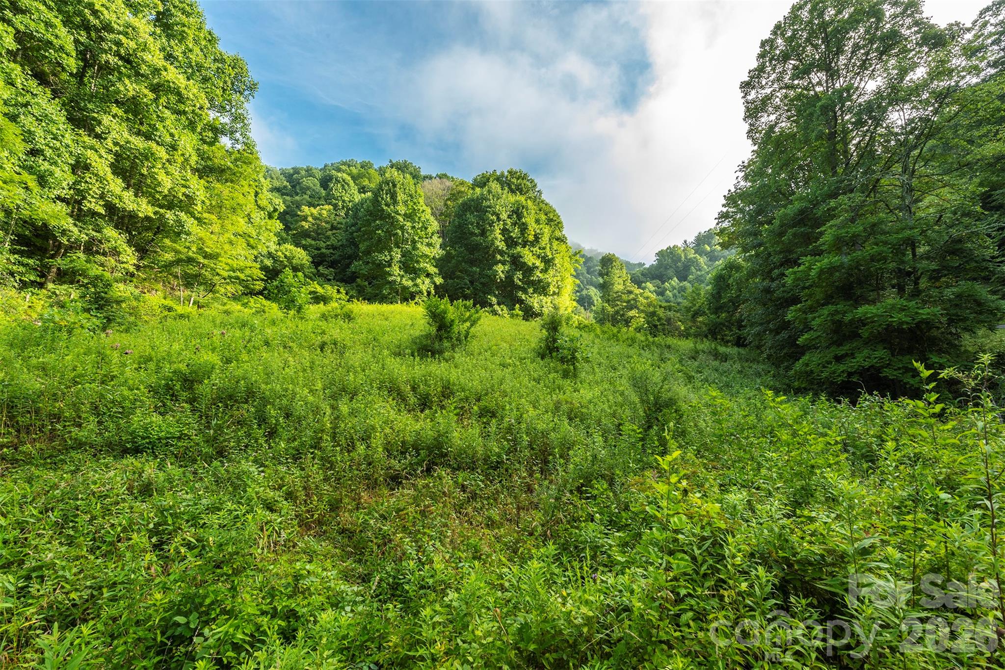 99999 Renfro Road Property Photo 7