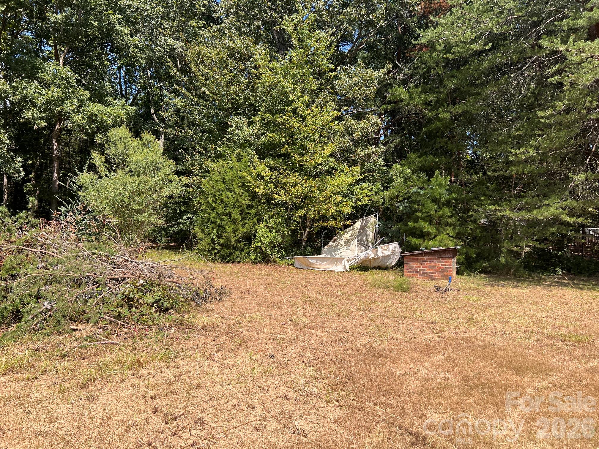 230 Squirrel Run Property Photo 17