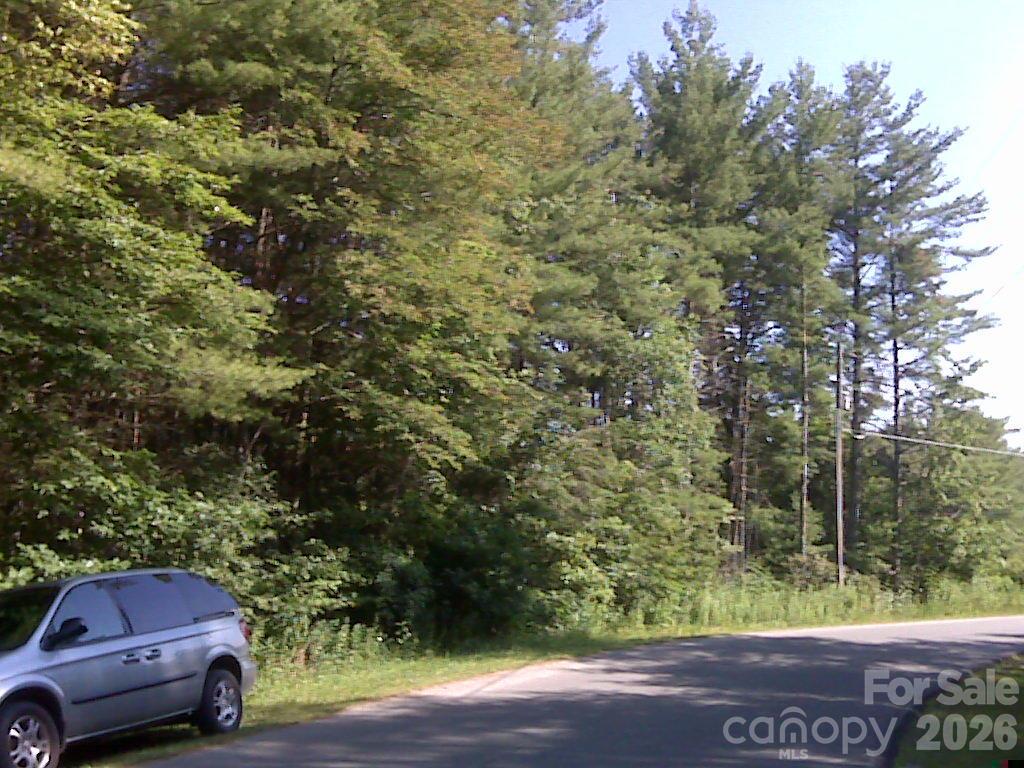 0 Little Gap Road Property Photo 4
