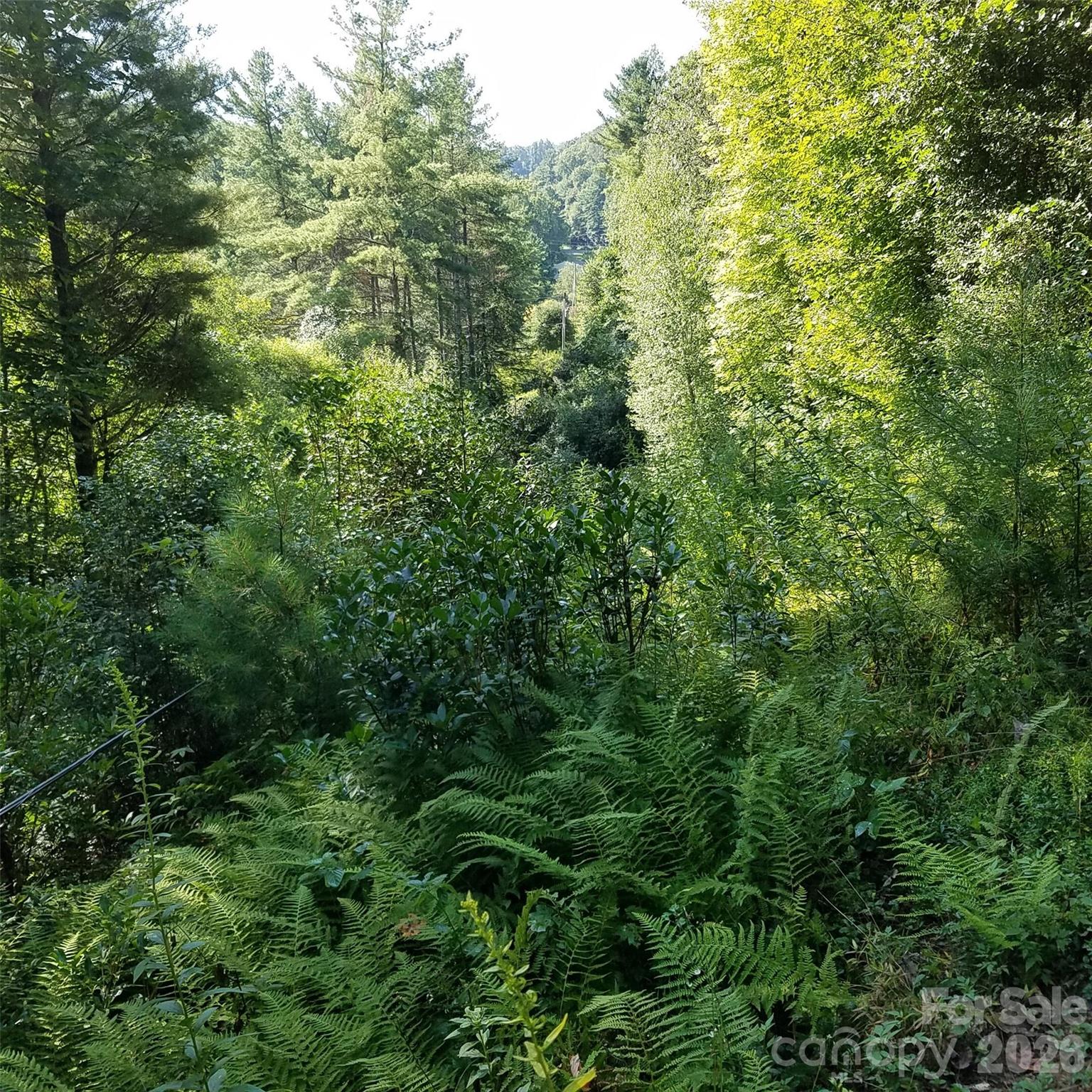 0 Little Gap Road Property Photo 6