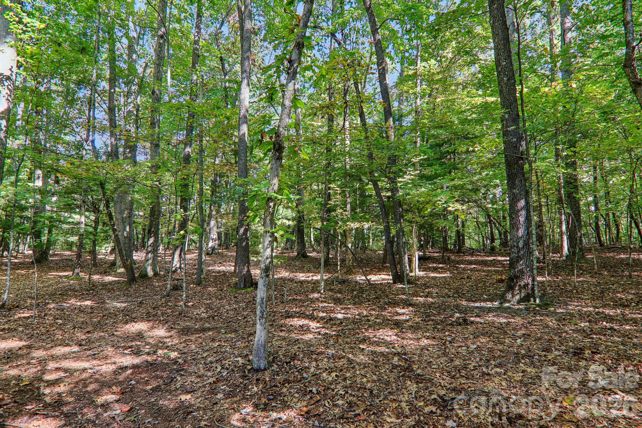 198 Woods End Drive Property Photo 31