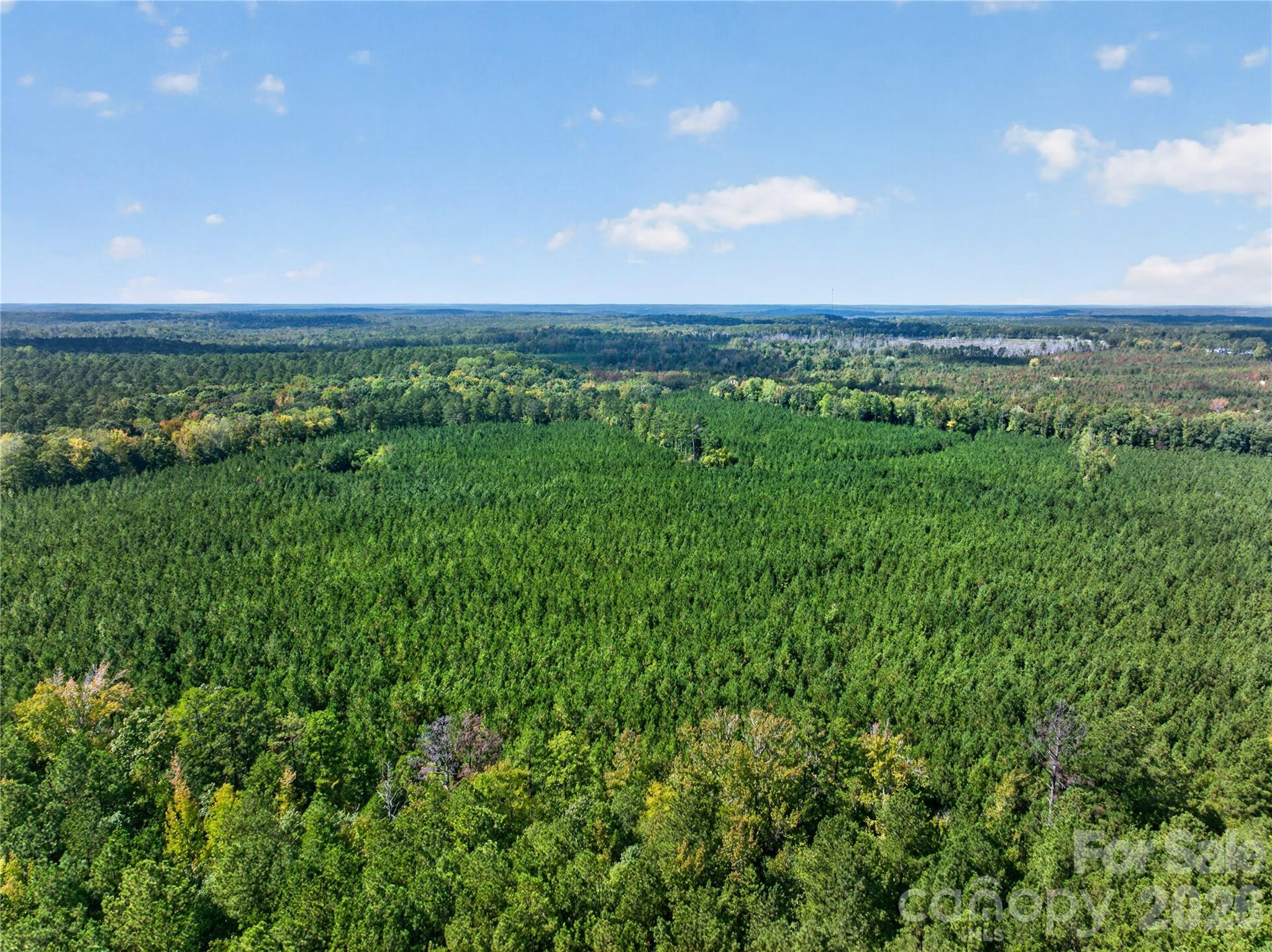0000 Narrow Bridge Road 3 Property Photo 3