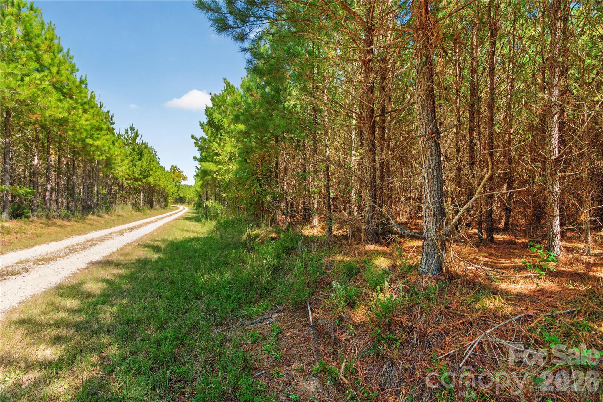 0000 Narrow Bridge Road 3 Property Photo 4