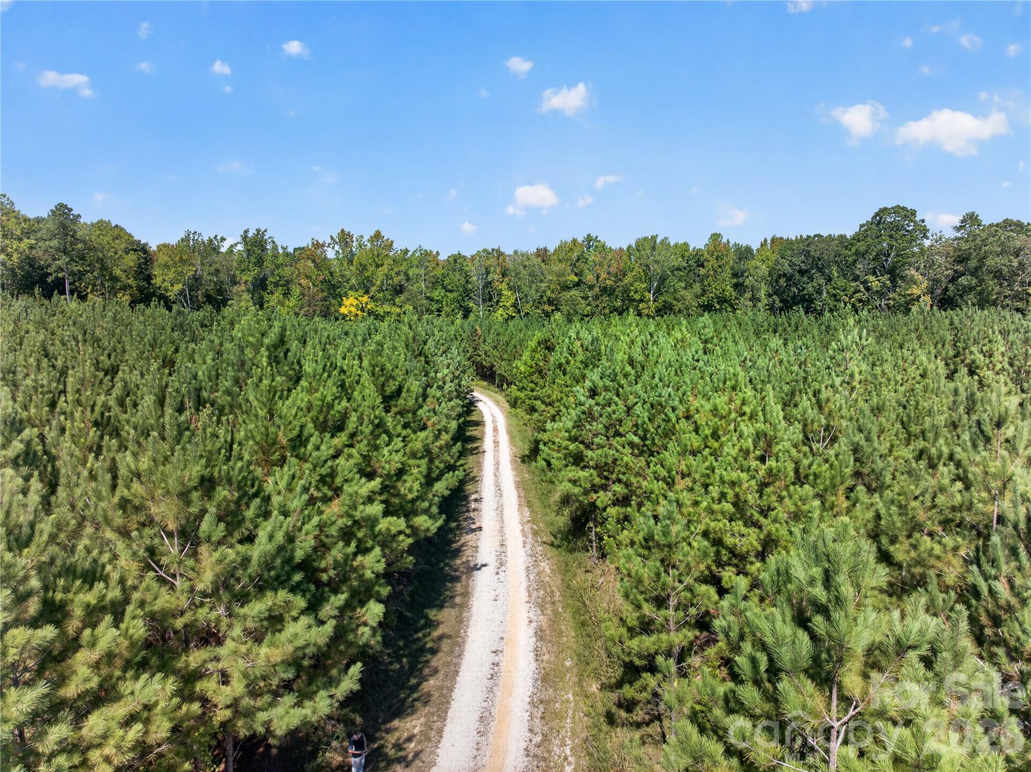 0000 Narrow Bridge Road 3 Property Photo 7