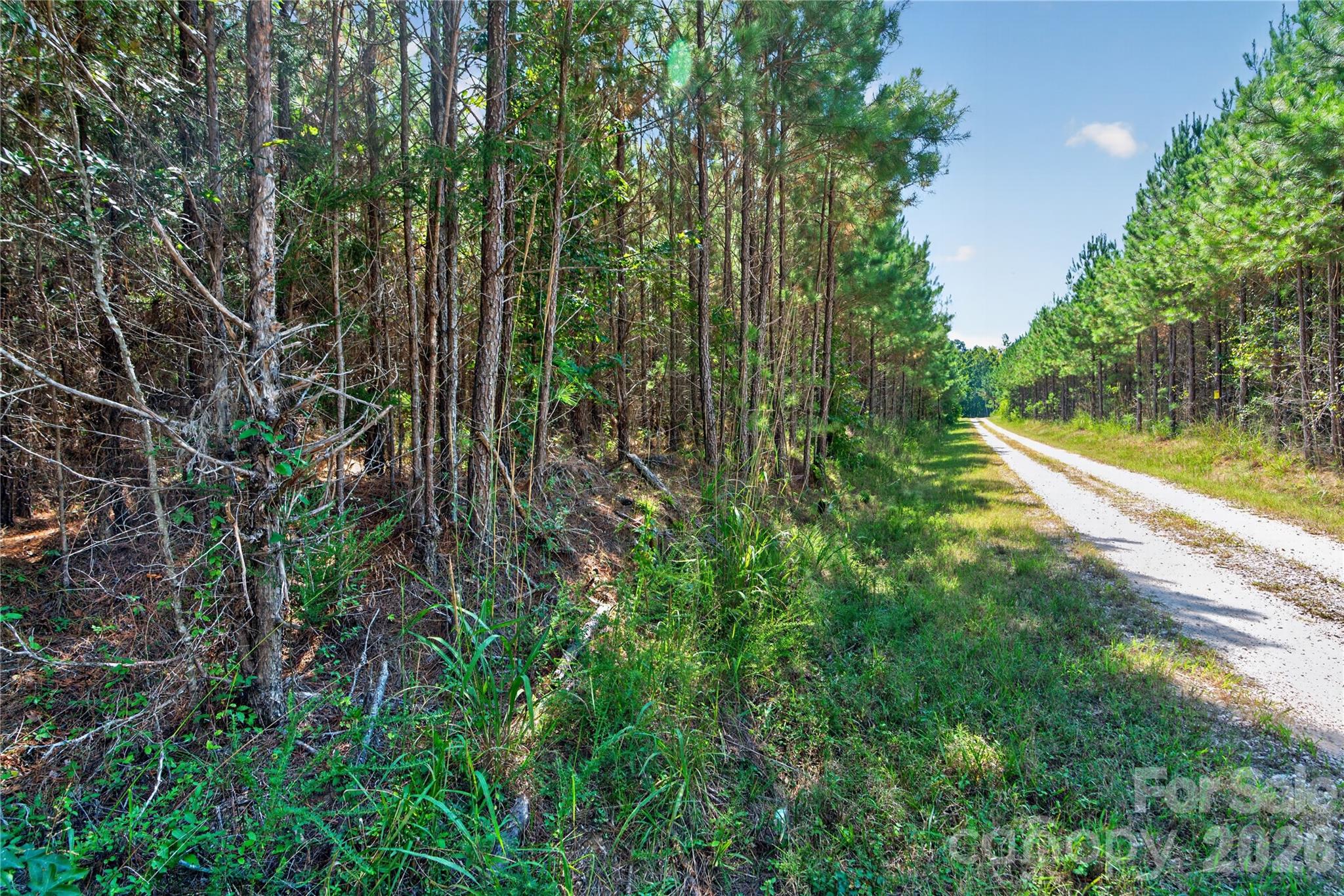 0000 Narrow Bridge Road 3 Property Photo 9