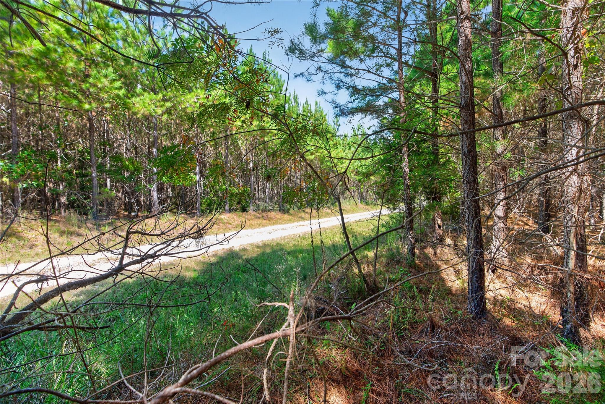 0000 Narrow Bridge Road 3 Property Photo 10