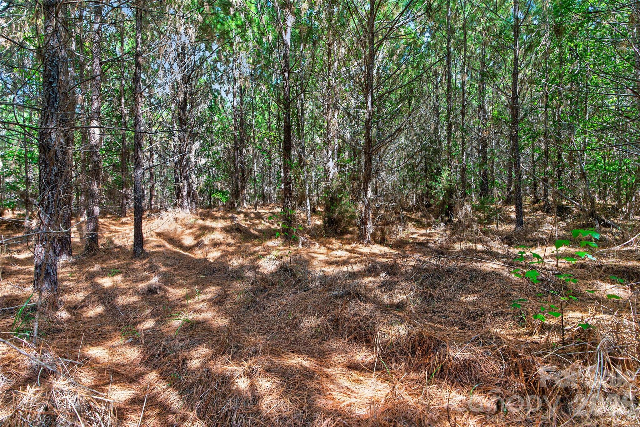 0000 Narrow Bridge Road 3 Property Photo 12