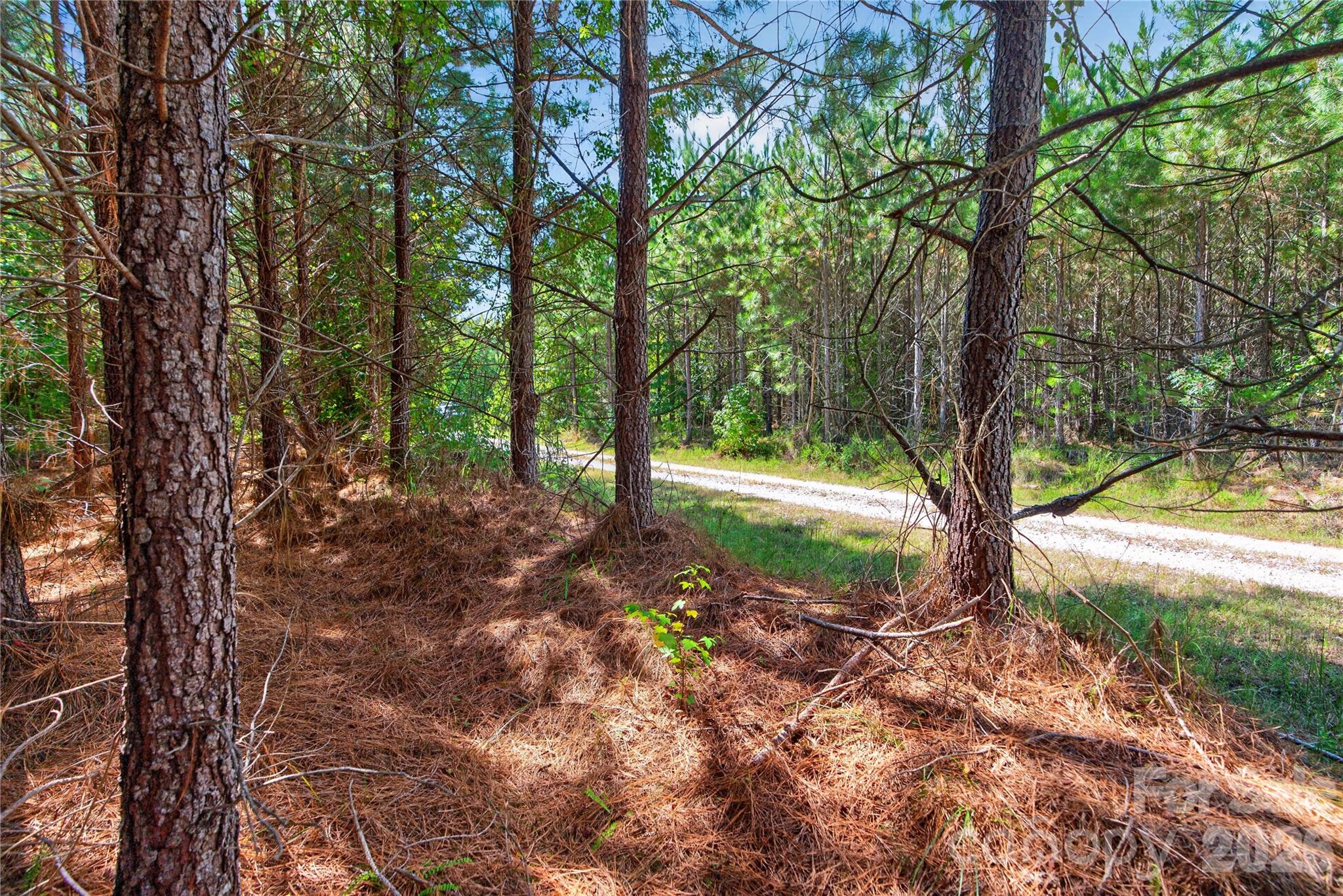 0000 Narrow Bridge Road 3 Property Photo 13