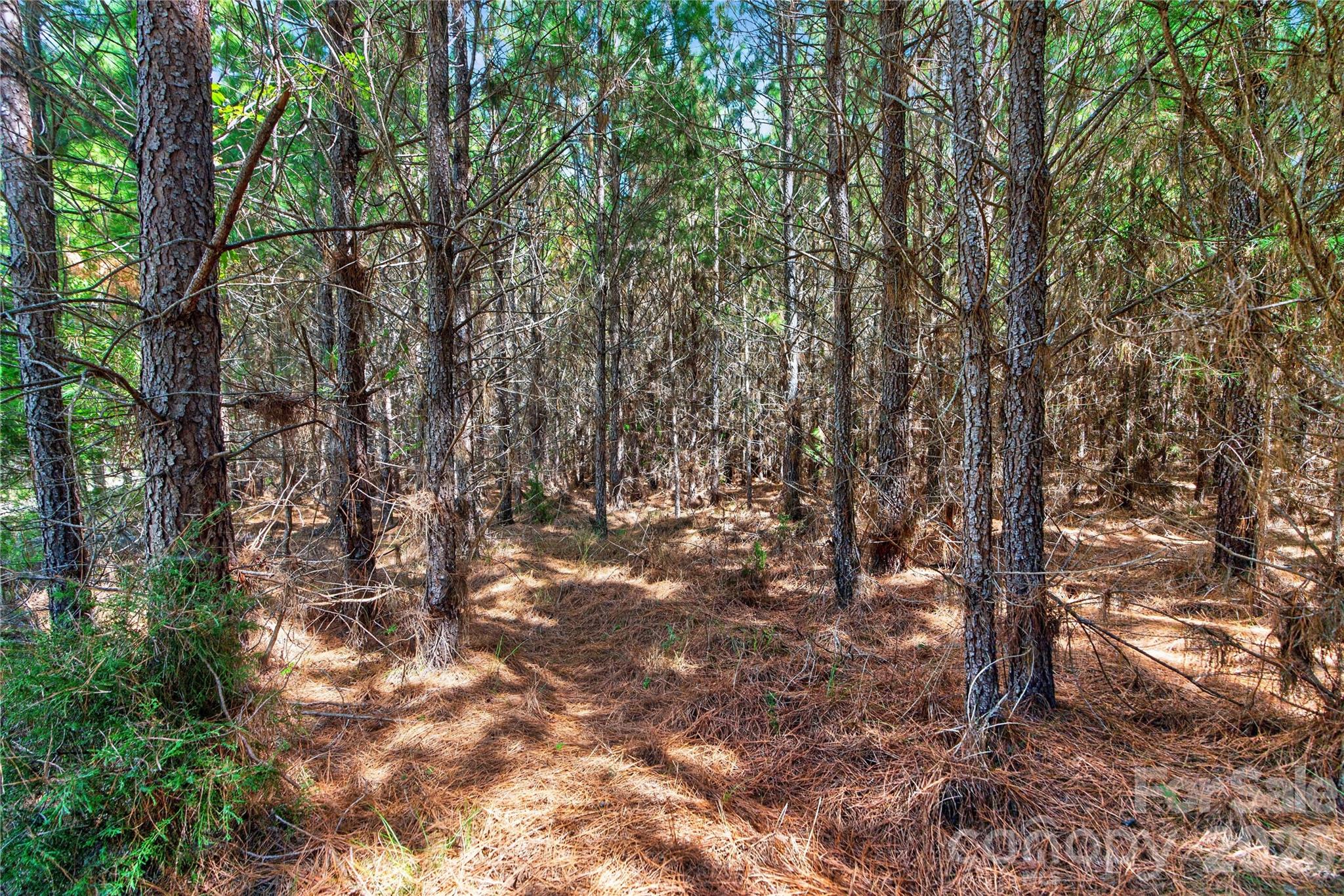 0000 Narrow Bridge Road 3 Property Photo 14